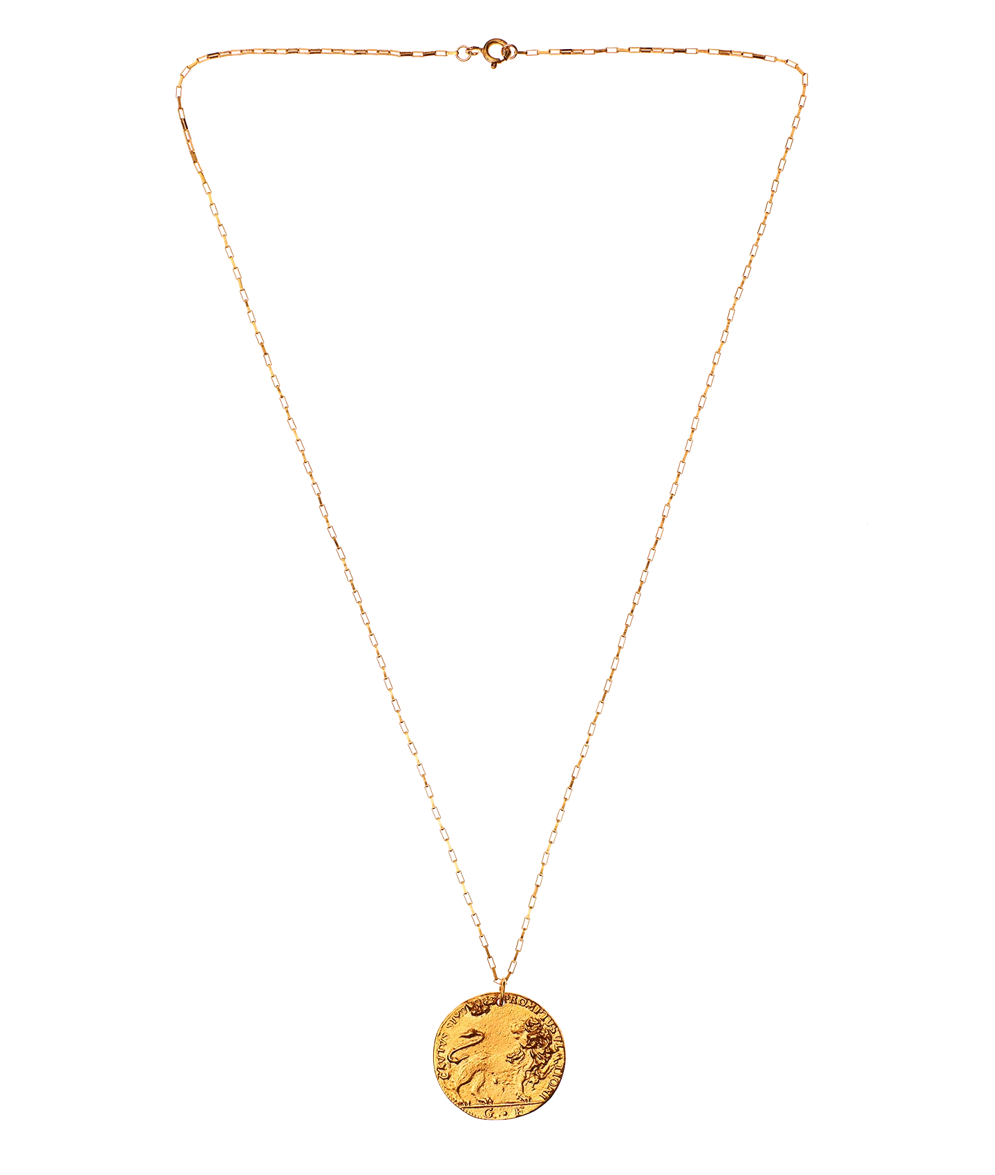 Il Leone Medallion // Box Chain - Image 5