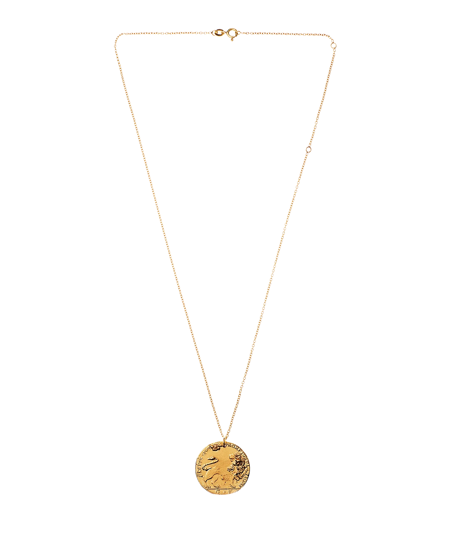 Il Leone Medallion - Image 4