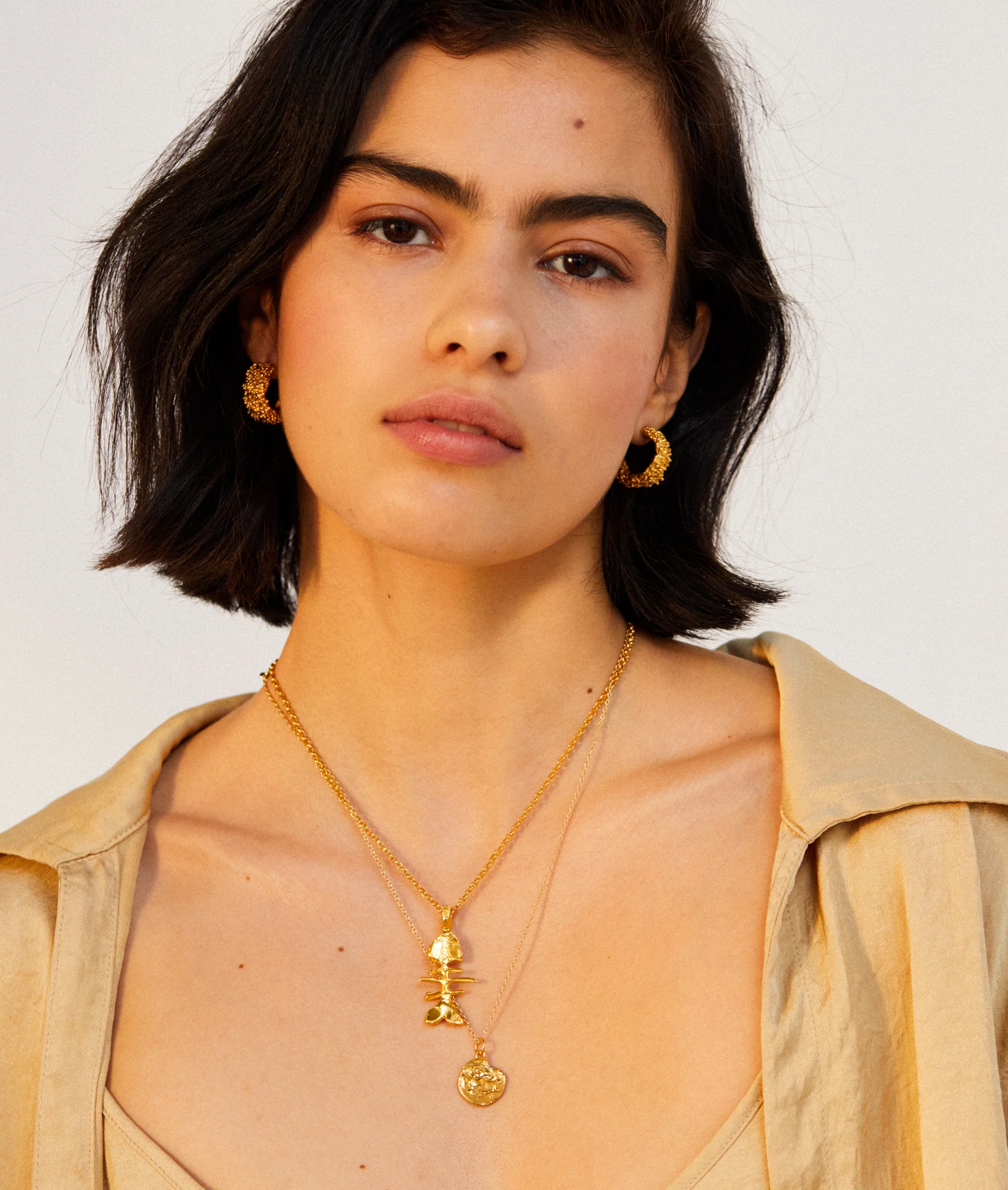 The Pisces Medallion - Image 8