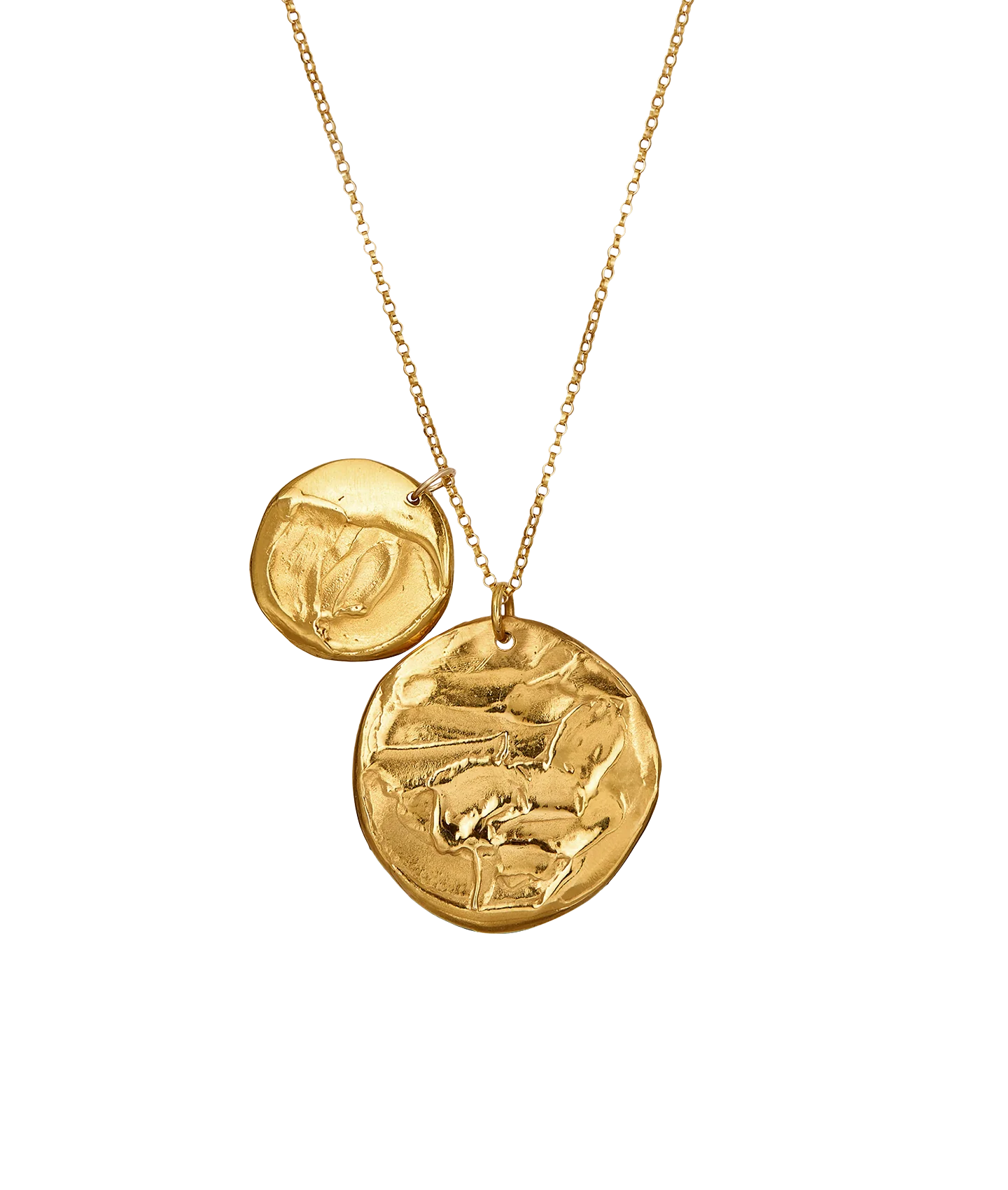 The Gone Fishing Double Medallion Necklace - Image 4